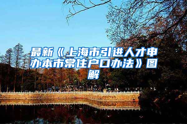 最新《上海市引进人才申办本市常住户口办法》图解