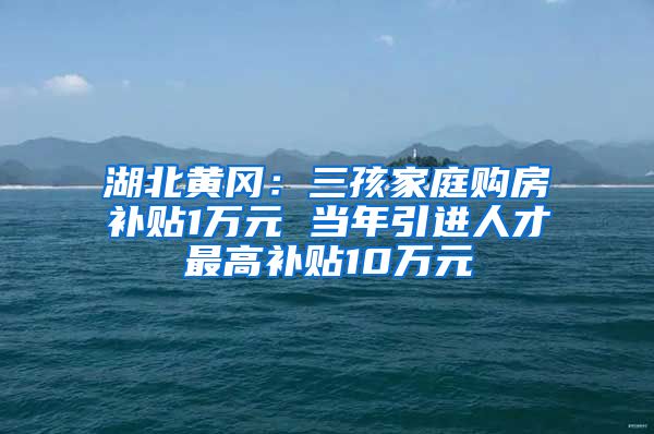 湖北黄冈：三孩家庭购房补贴1万元 当年引进人才最高补贴10万元