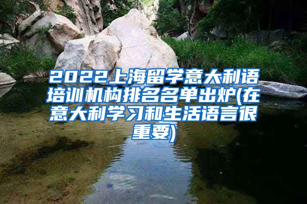 2022上海留学意大利语培训机构排名名单出炉(在意大利学习和生活语言很重要)