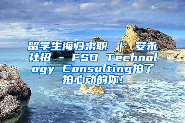 留学生海归求职 ｜ 安永社招 - FSO Technology Consulting拍了拍心动的你!