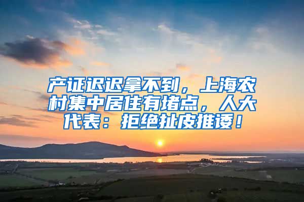 产证迟迟拿不到，上海农村集中居住有堵点，人大代表：拒绝扯皮推诿！