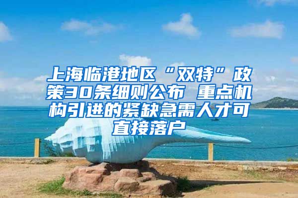 上海临港地区“双特”政策30条细则公布 重点机构引进的紧缺急需人才可直接落户