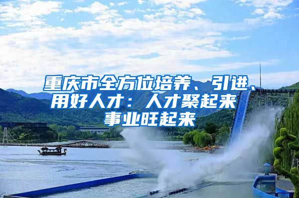 重庆市全方位培养、引进、用好人才：人才聚起来 事业旺起来