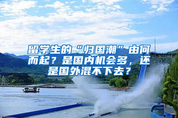 留学生的“归国潮”由何而起？是国内机会多，还是国外混不下去？