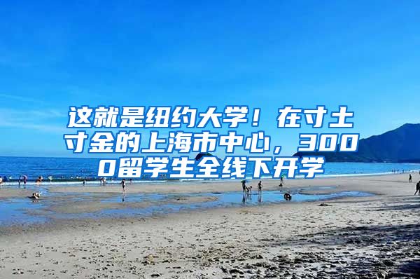 这就是纽约大学！在寸土寸金的上海市中心，3000留学生全线下开学