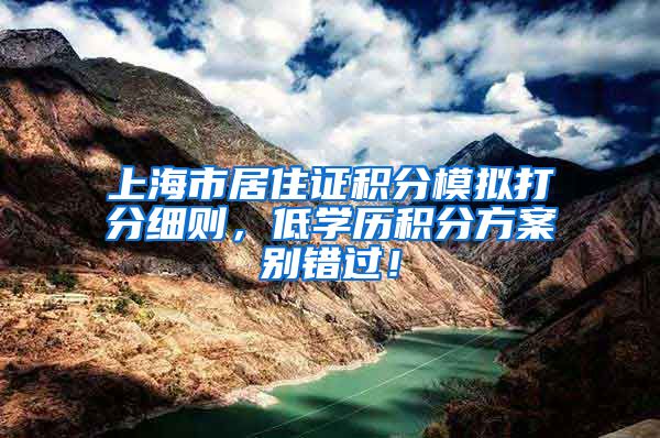 上海市居住证积分模拟打分细则，低学历积分方案别错过！