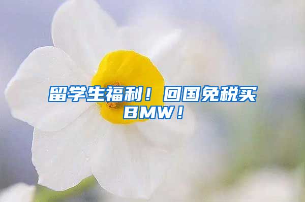 留学生福利！回国免税买BMW！