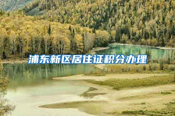 浦东新区居住证积分办理