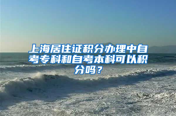 上海居住证积分办理中自考专科和自考本科可以积分吗？