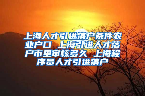 上海人才引进落户条件农业户口 上海引进人才落户市里审核多久 上海程序员人才引进落户