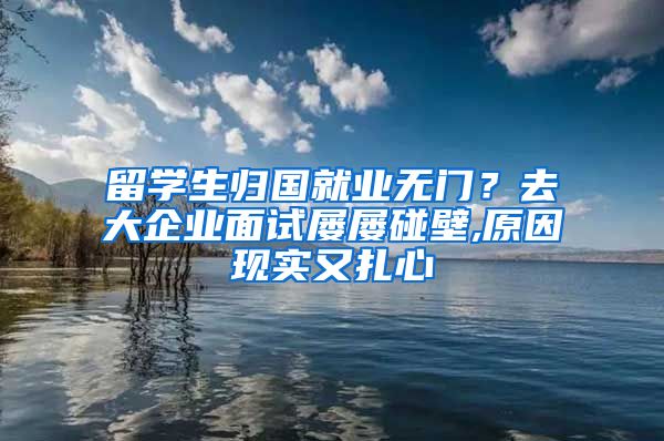 留学生归国就业无门？去大企业面试屡屡碰壁,原因现实又扎心