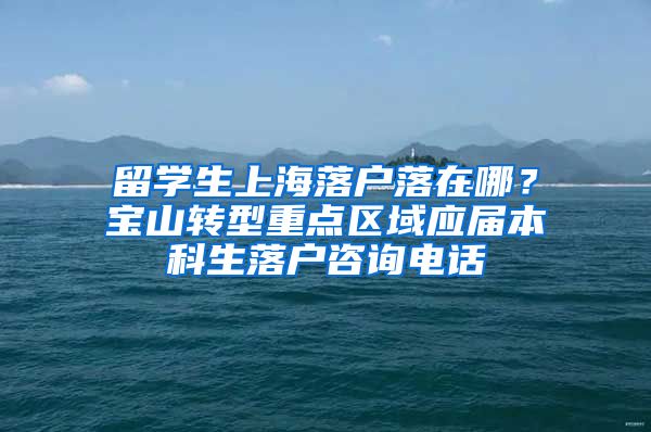 留学生上海落户落在哪？宝山转型重点区域应届本科生落户咨询电话