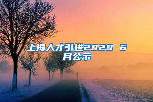 上海人才引进2020 6月公示