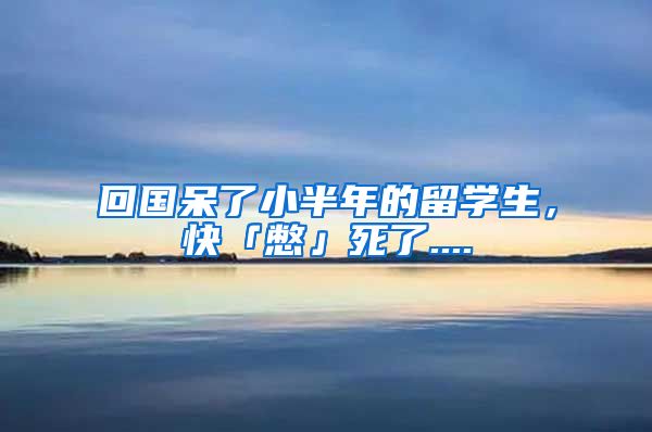 回国呆了小半年的留学生，快「憋」死了....