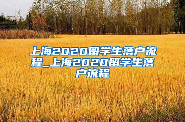 上海2020留学生落户流程_上海2020留学生落户流程