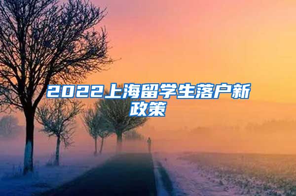 2022上海留学生落户新政策