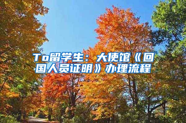 To留学生：大使馆《回国人员证明》办理流程