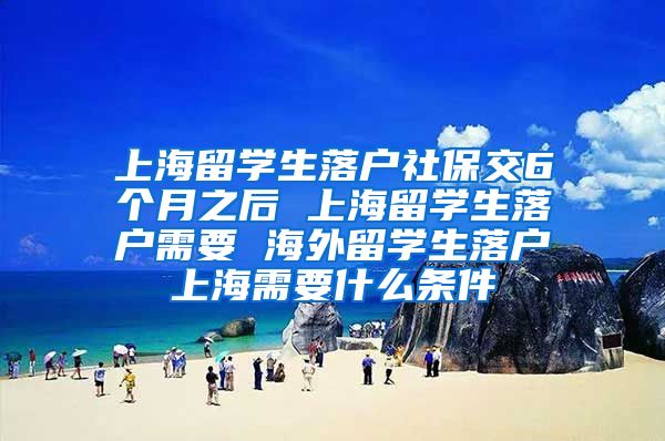 上海留学生落户社保交6个月之后 上海留学生落户需要 海外留学生落户上海需要什么条件