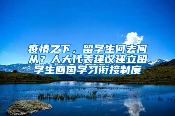 疫情之下，留学生何去何从？人大代表建议建立留学生回国学习衔接制度