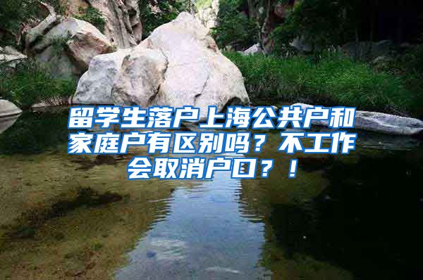 留学生落户上海公共户和家庭户有区别吗？不工作会取消户口？！