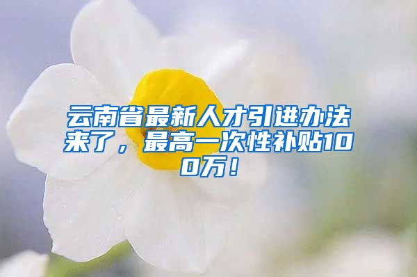 云南省最新人才引进办法来了，最高一次性补贴100万！