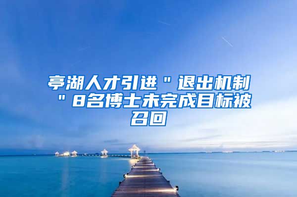 亭湖人才引进＂退出机制＂8名博士未完成目标被召回