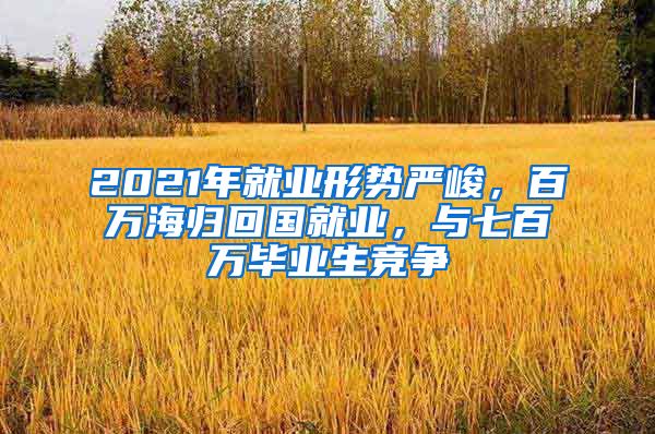 2021年就业形势严峻，百万海归回国就业，与七百万毕业生竞争