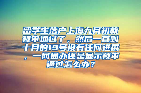 留学生落户上海九月初就预审通过了，然后一直到十月的19号没有任何进展，一网通办还是显示预审通过怎么办？