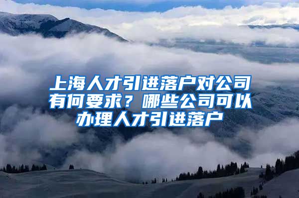 上海人才引进落户对公司有何要求？哪些公司可以办理人才引进落户