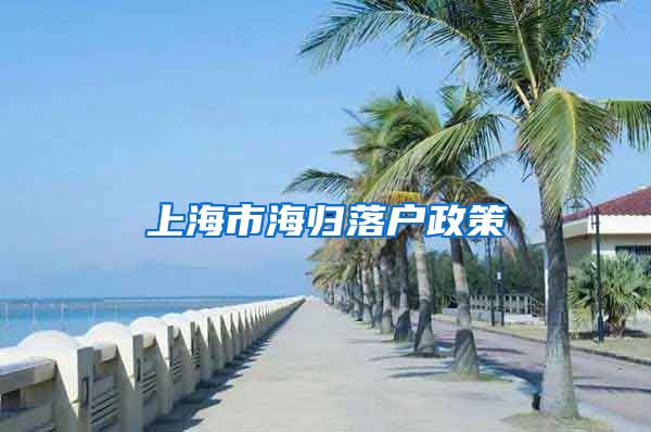 上海市海归落户政策