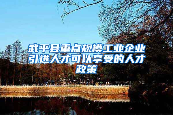 武平县重点规模工业企业引进人才可以享受的人才政策