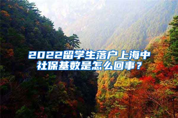 2022留学生落户上海中社保基数是怎么回事？