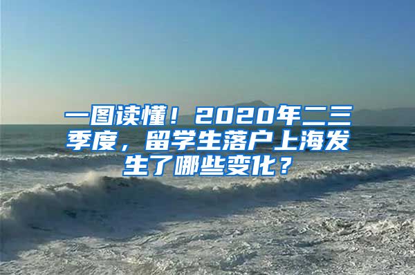 一图读懂！2020年二三季度，留学生落户上海发生了哪些变化？