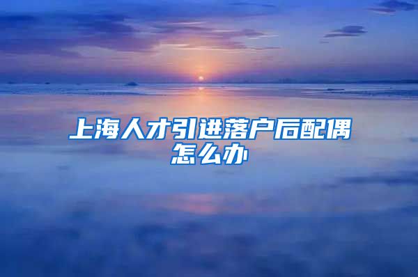 上海人才引进落户后配偶怎么办