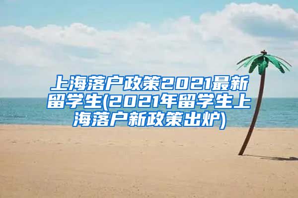 上海落户政策2021最新留学生(2021年留学生上海落户新政策出炉)