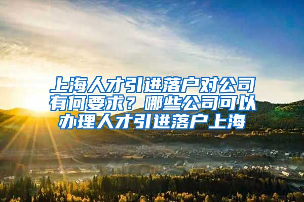 上海人才引进落户对公司有何要求？哪些公司可以办理人才引进落户上海