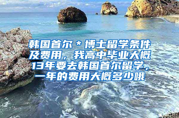 韩国首尔＊博士留学条件及费用，我高中毕业大概13年要去韩国首尔留学，一年的费用大概多少哦