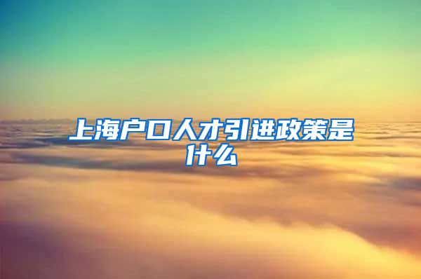 上海户口人才引进政策是什么