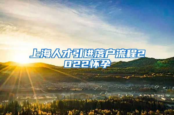 上海人才引进落户流程2022怀孕