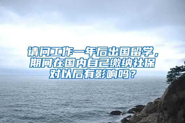 请问工作一年后出国留学，期间在国内自己缴纳社保对以后有影响吗？