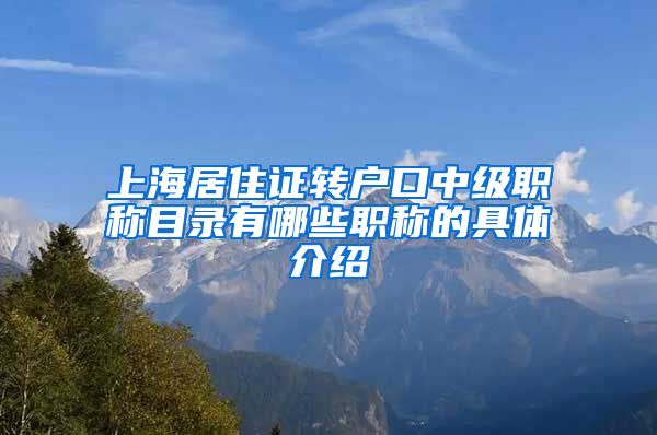 上海居住证转户口中级职称目录有哪些职称的具体介绍