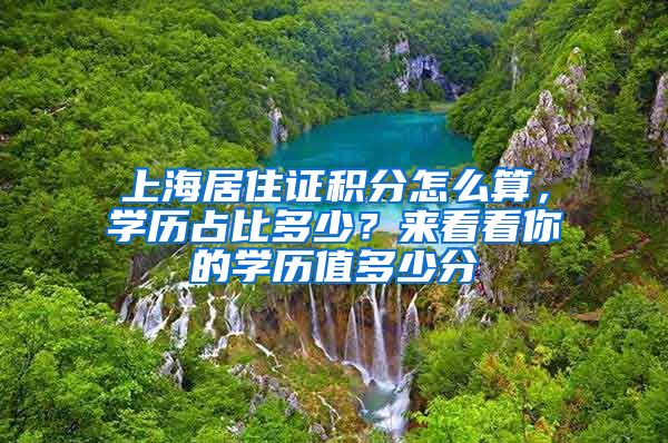 上海居住证积分怎么算，学历占比多少？来看看你的学历值多少分