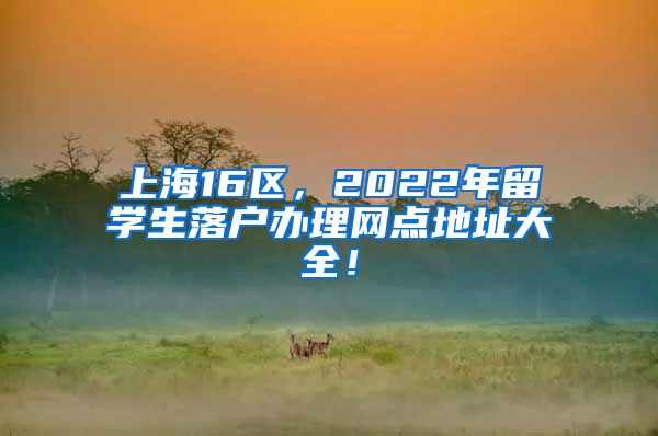 上海16区，2022年留学生落户办理网点地址大全！