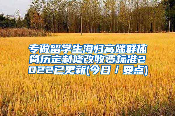 专做留学生海归高端群体简历定制修改收费标准2022已更新(今日／要点)