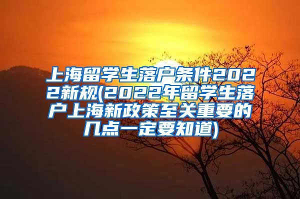 上海留学生落户条件2022新规(2022年留学生落户上海新政策至关重要的几点一定要知道)