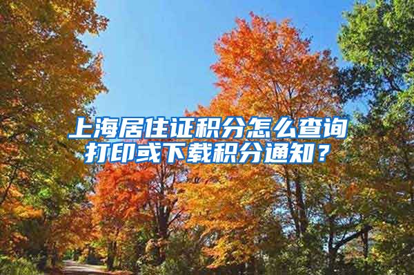 上海居住证积分怎么查询打印或下载积分通知？