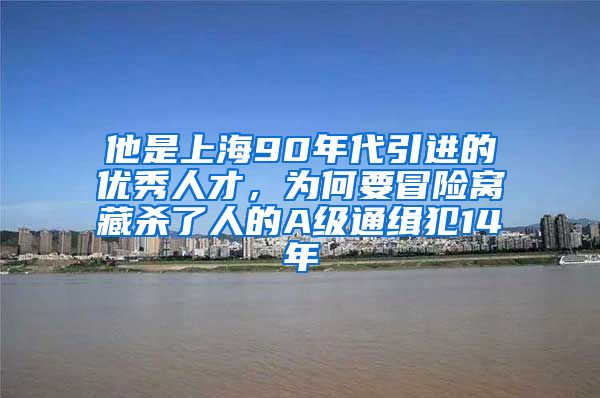 他是上海90年代引进的优秀人才，为何要冒险窝藏杀了人的A级通缉犯14年