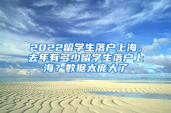 2022留学生落户上海，去年有多少留学生落户上海？数据太庞大了