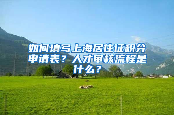 如何填写上海居住证积分申请表？人才审核流程是什么？