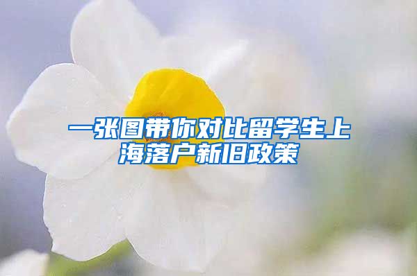 一张图带你对比留学生上海落户新旧政策